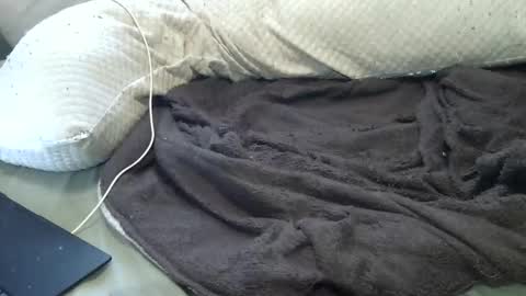 flufferbutt2 online show from 04.11.26