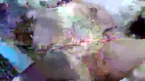 flufferbutt2 online show from 04.14.26