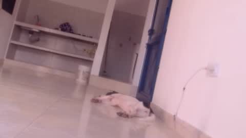 emely and felix online show from 12.27.24