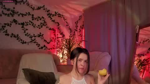     online show from 05.01.26