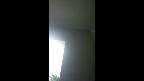 foxtropia online show from 02.10.26