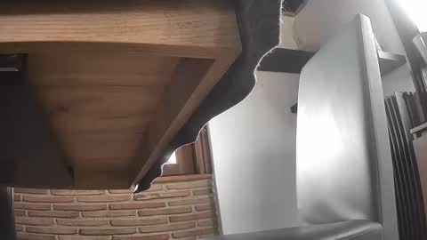 fra  71 online show from 04.01.26