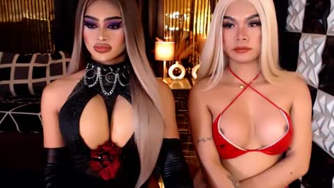 Stella Perkins online show from 04.12.26