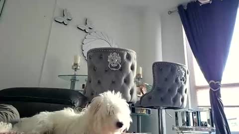 Snapshot of franciscomalin chatting on 07.29.26 franciscomalin online show from 07.29.26