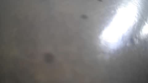 frank_sweetdick online show from 05.13.26