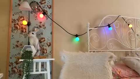 Franky online show from 02.18.25