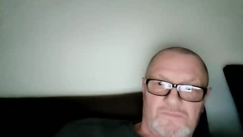 Wolfi online show from 02.17.26