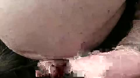 David Fredal online show from 01.28.25