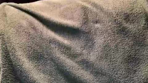 Fred online show from 11.02.25