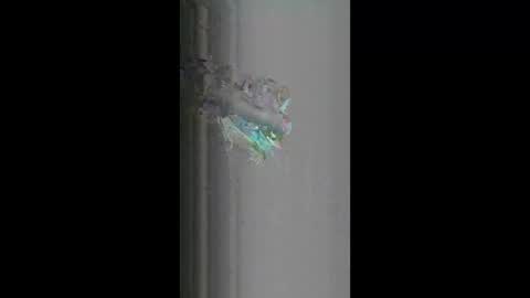 fredy621268 online show from 04.18.26