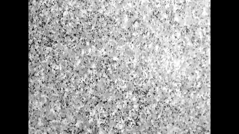 freiman_bigcockxx online show from 04.10.26