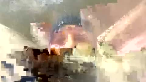 Snapshot of frenchhard0000 chatting on 12.17.24 Horny french hard online show from 12.17.24