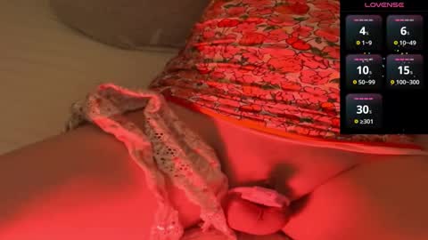 Snapshot of frenulumsnap chatting on 12.29.24 Meadow online show from 12.29.24