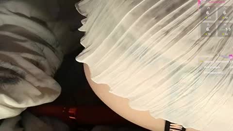 Snapshot of frenulumsnap chatting on 02.22.25 Meadow online show from 02.22.25