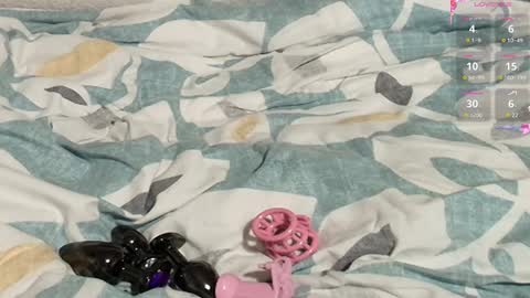 Snapshot of frenulumsnap chatting on 02.27.25 Meadow online show from 02.27.25