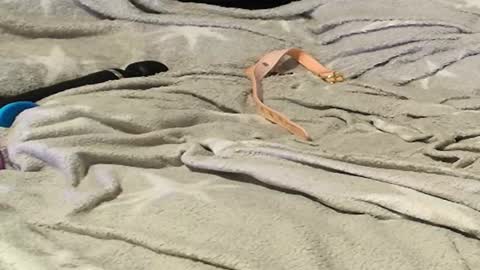 Snapshot of frenulumsnap chatting on 09.09.25 Meadow online show from 09.09.25