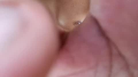 Phantom online show from 02.17.25