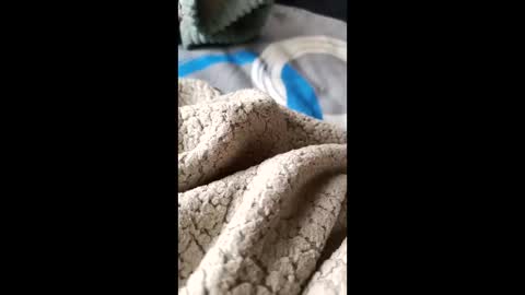 frodo7828 online show from 11.30.25