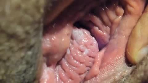 FrumCake online show from 01.04.25