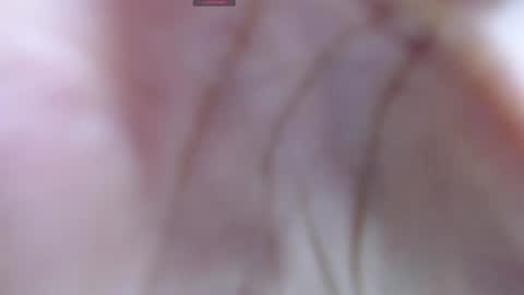 .  online show from 12.12.24