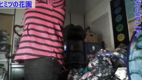 Gardenia online show from 01.07.25