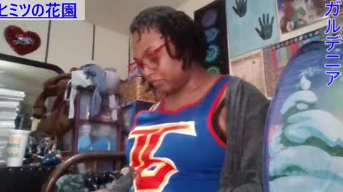 Gardenia online show from 02.11.25