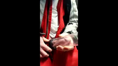 gator19037526775 online show from 03.13.26