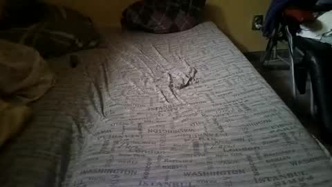 Snapshot of gazdadoka chatting on 02.14.25 gazdadjoka online show from 02.14.25