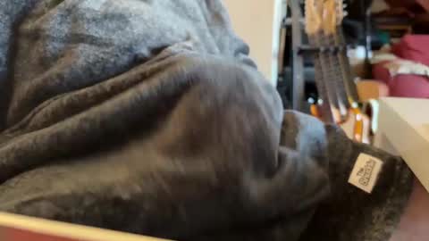 Snapshot of geezerblokeii chatting on 12.02.24 geezerblokeii online show from 12.02.24