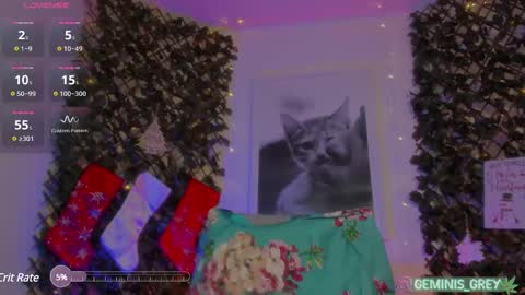 Snapshot of geminis_grey chatting on 02.27.25 Geminis online show from 02.27.25
