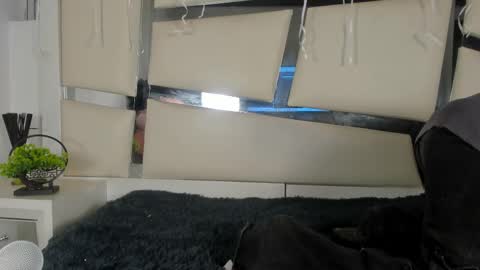 Snapshot of genesis_ask chatting on 11.17.25 Genesis online show from 11.17.25