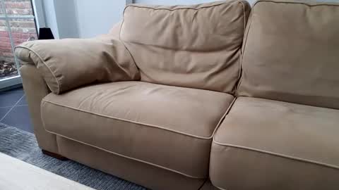 Gentle online show from 12.30.24