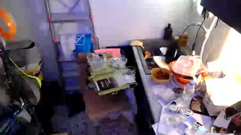 Snapshot of georgempt chatting on 01.18.25 georgempt online show from 01.18.25