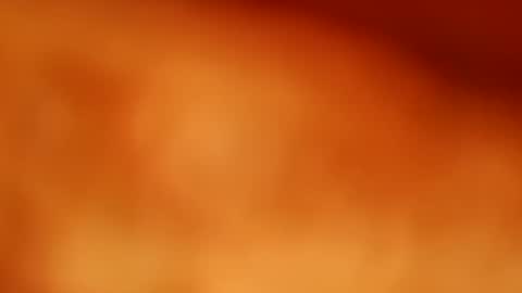 germanandy71 online show from 11.11.25