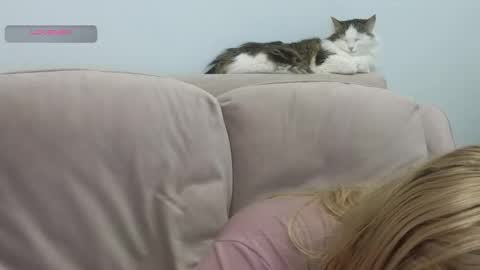 Snapshot of gertanord chatting on 02.20.26 Gerta online show from 02.20.26