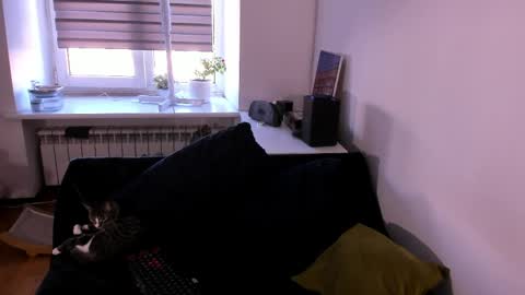 geserm online show from 04.01.26