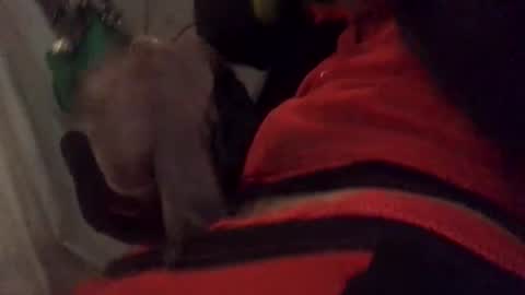 ghallofino26 online show from 02.05.26