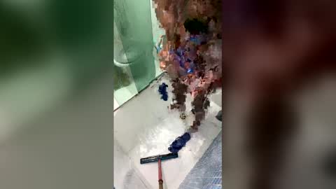 gifted online show from 04.20.26