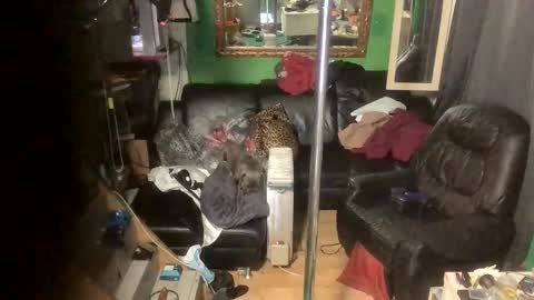 GinaGender online show from 11.24.25