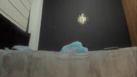 Miss online show from 03.07.25