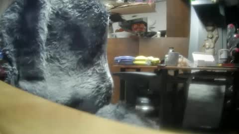 Snapshot of giovanne1 chatting on 12.08.24 giovanne1 online show from 12.08.24