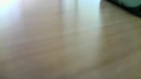 Snapshot of giovet chatting on 12.29.24 giovet online show from 12.29.24