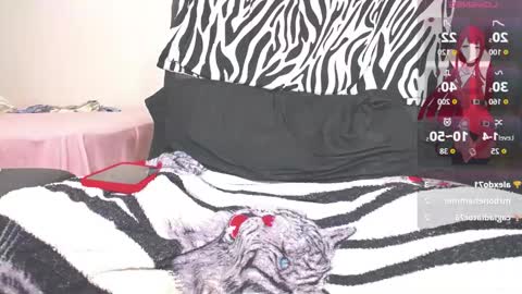 kim online show from 02.02.26