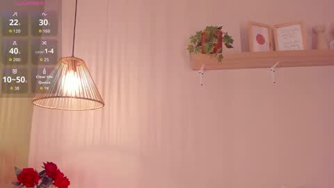   online show from 10.05.25