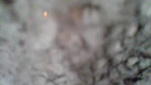 Snapshot of givr6inches chatting on 03.07.25 e-Bizl online show from 03.07.25