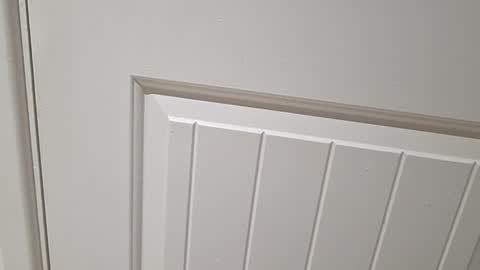 Snapshot of gloscam chatting on 11.23.25 Gloscam online show from 11.23.25