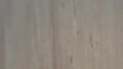 Snapshot of glyder1961 chatting on 02.07.25 Glyder online show from 02.07.25