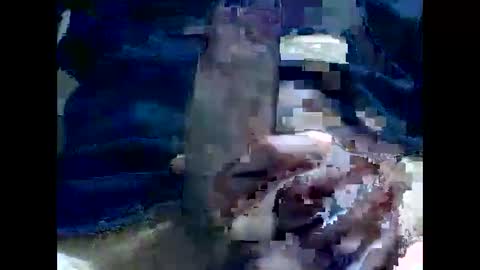 PencilDick online show from 12.02.24