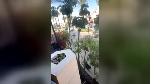 Goddess L online show from 04.20.26