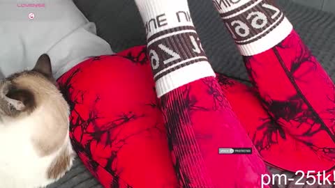 Goddess EmmaBratt princess online show from 02.03.26